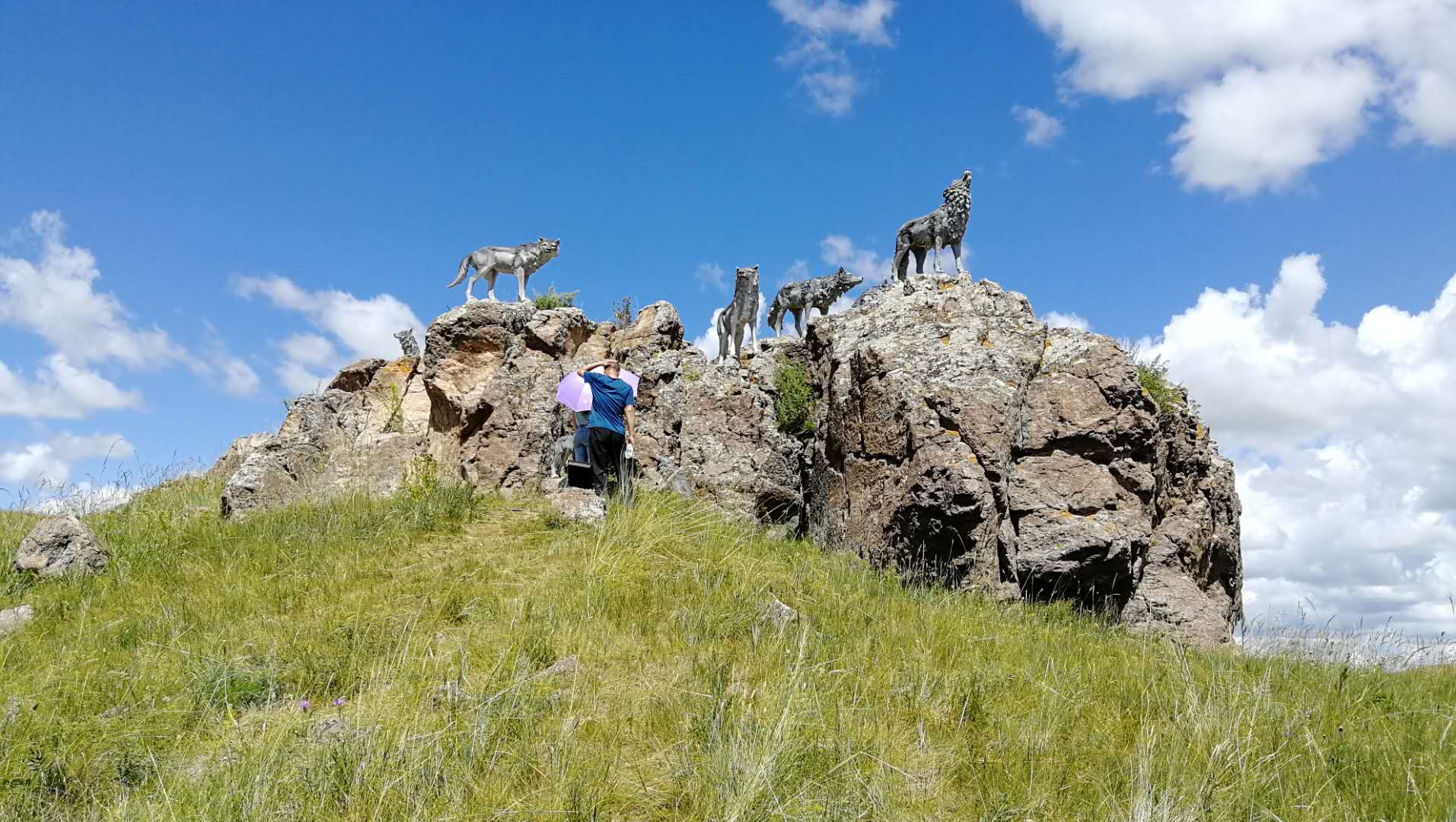 乌拉盖野狼谷狼图腾,狼图腾草原旅游