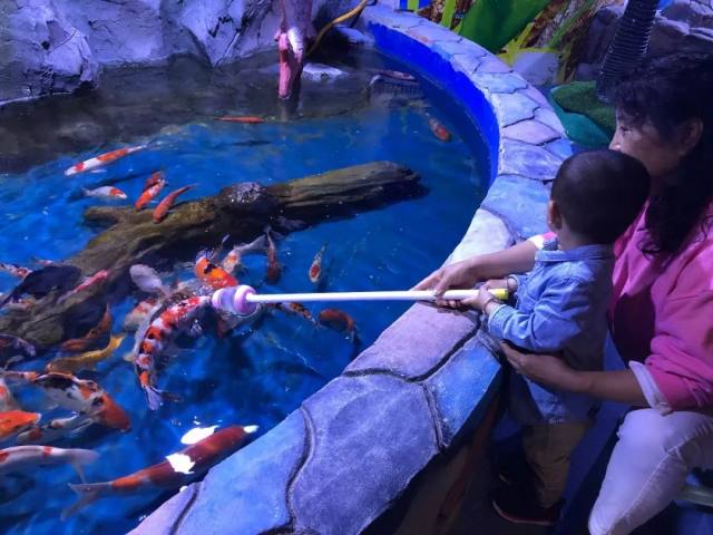 白鹿原白鹿仓景区冰雕,白鹿仓冰雕