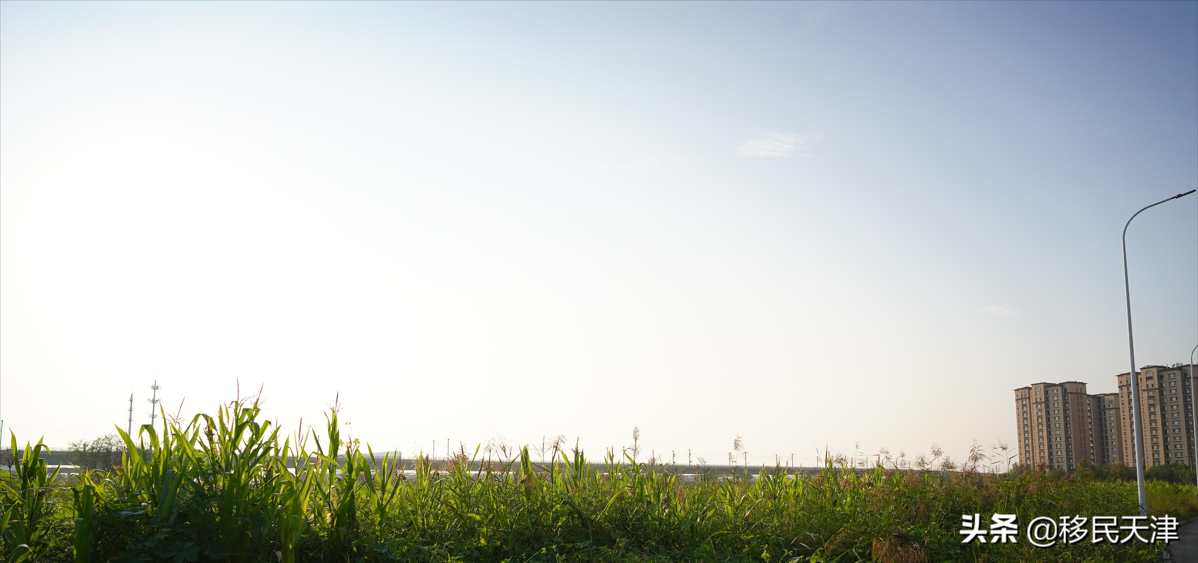 为什么天津不建议买武清的房子,天津武清南湖房产有前途吗