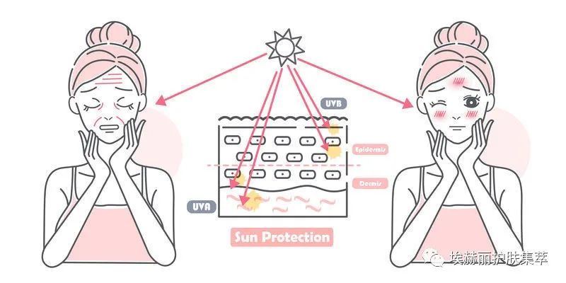 大马士革玫瑰精粹油,里美大马士革玫瑰精华油