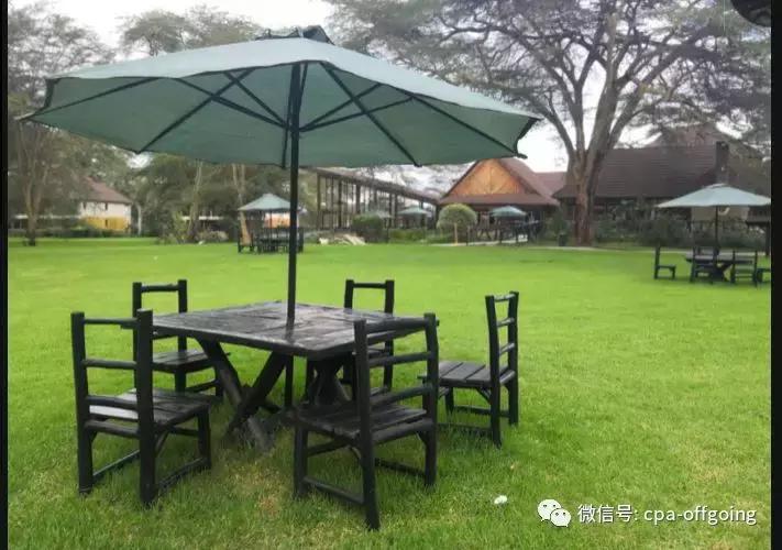 这个野奢的国度,欧美、日韩人都爱去,为何我们国家没人去?