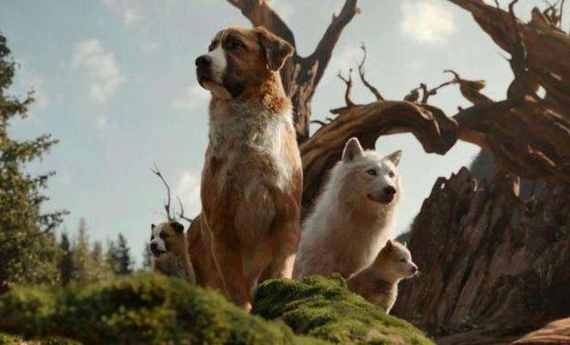 野性的呼唤里面的巴克是什么品种,野性的呼唤巴克2020完整版免费