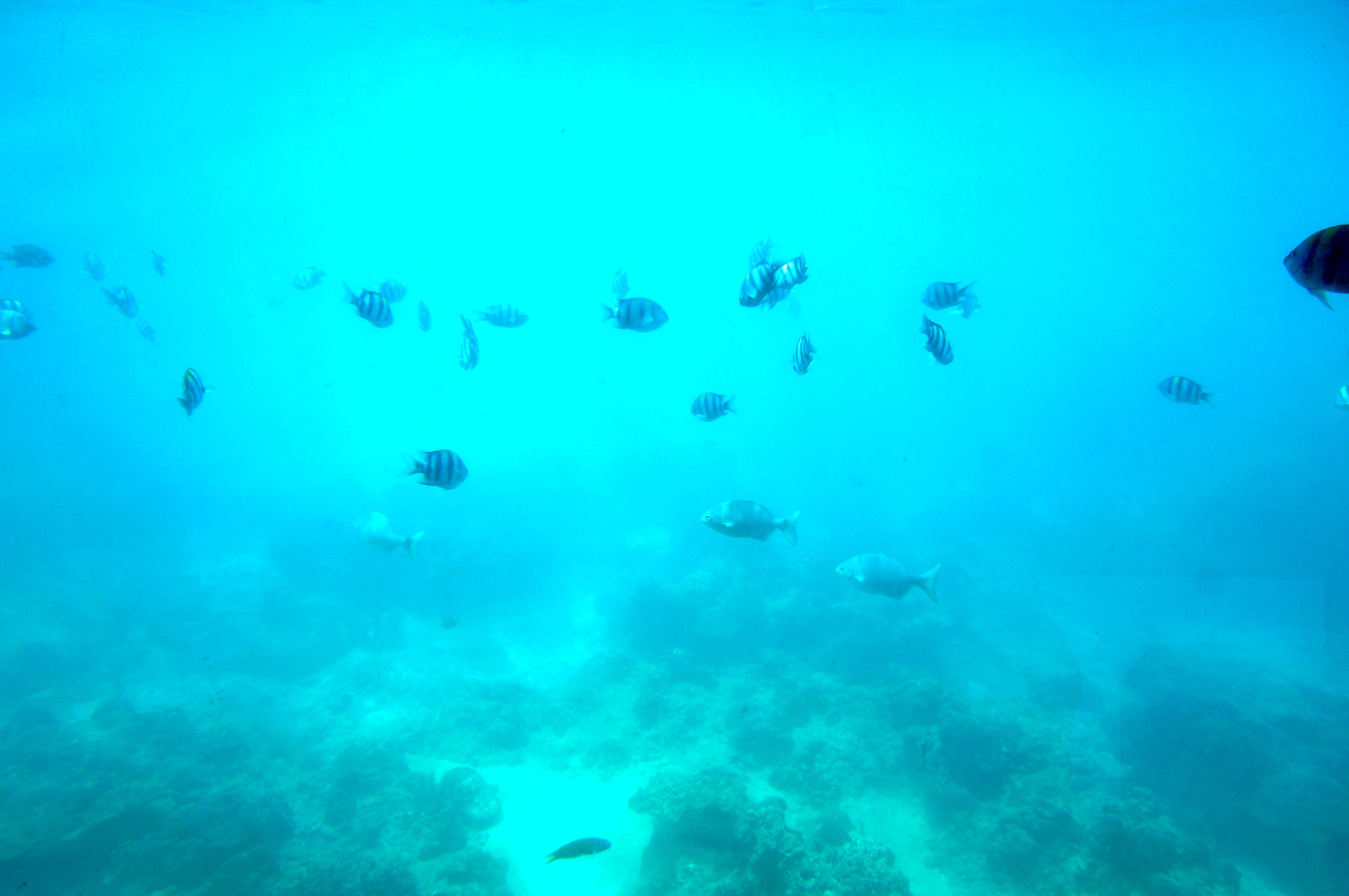 三亚玩法攻略,三亚纯玩旅游攻略跟团