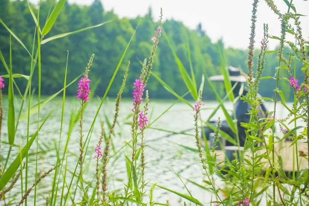 昆山最好的酒店,昆山适合度假的酒店