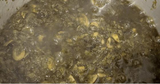 潮汕橄榄菜的制作方法视频,潮汕橄榄菜的制作方法