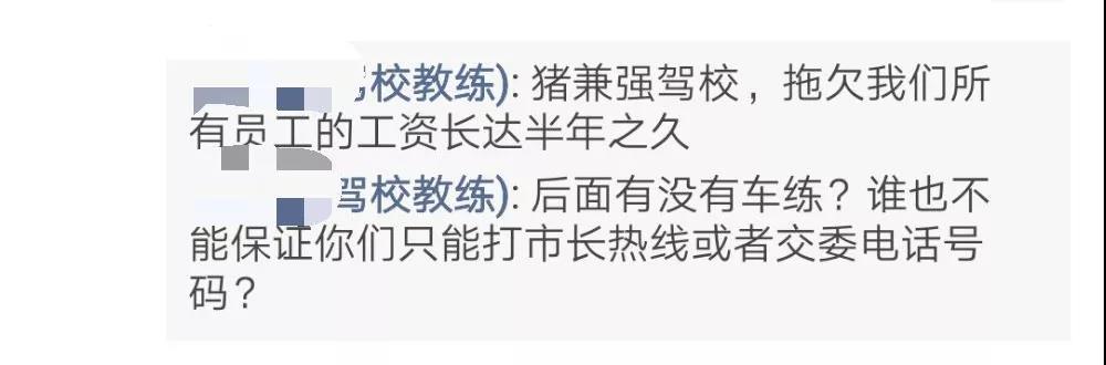 网红驾校猪兼强,网红驾校猪兼强被裁定破产