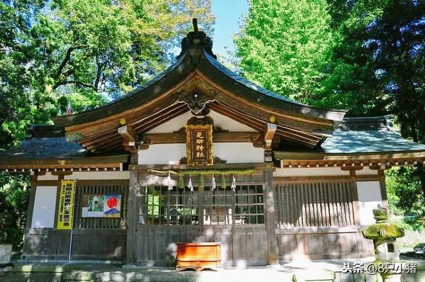 2023年lv哪款最流行,最新款lv在哪里上市