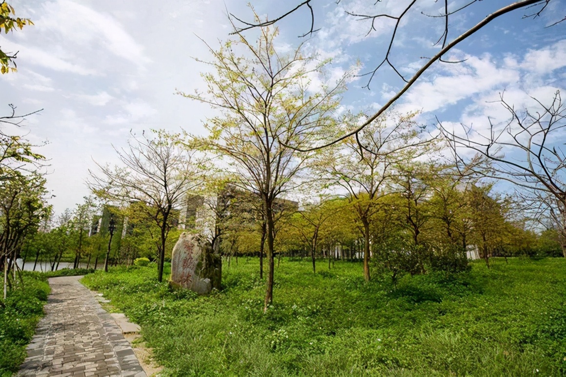 广东南华工商职业学院录取信息,广东南华工商学院专业分数线