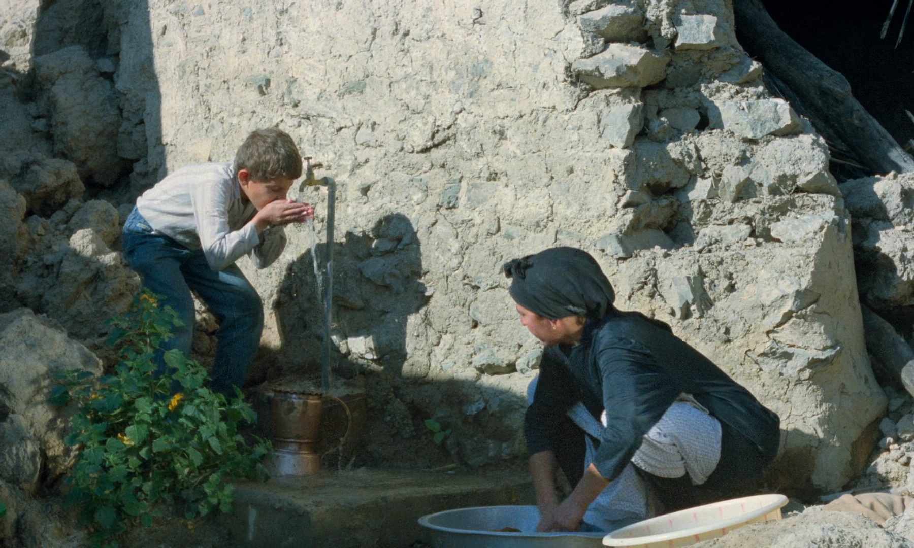 伊朗电影万籁俱寂,伊朗电影随风而逝电影解说