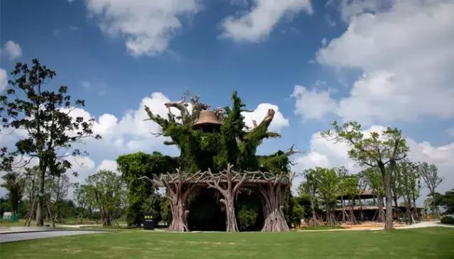 新晋网红打卡地池杉林,小红书网红打卡点