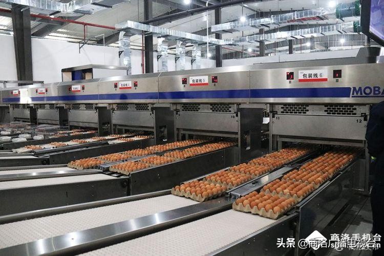 2018商洛市重大项目观摩排名出炉,2018年商洛市重大项目