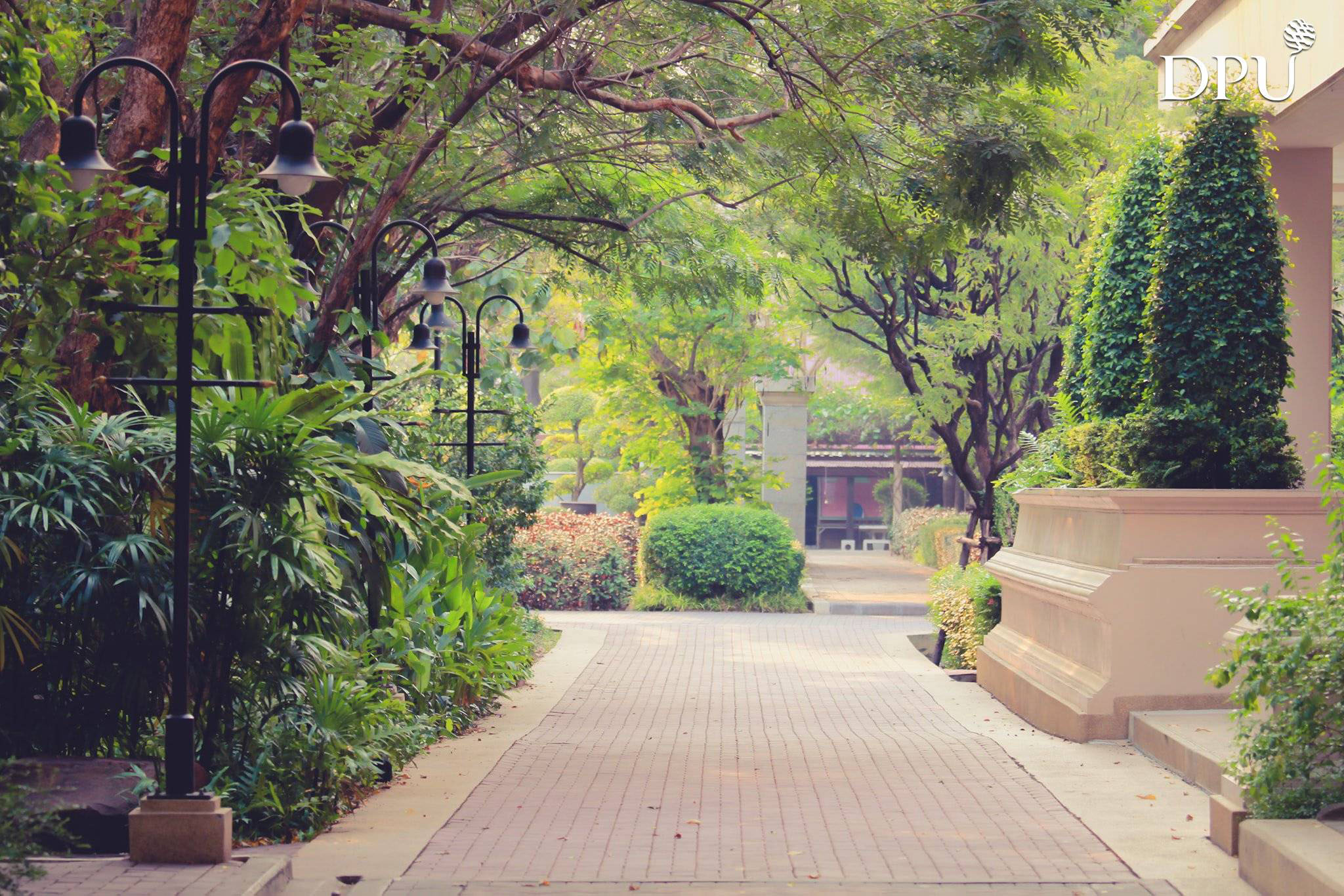 中国教育部推荐的泰国大学最全名单（附：私立大学简介）