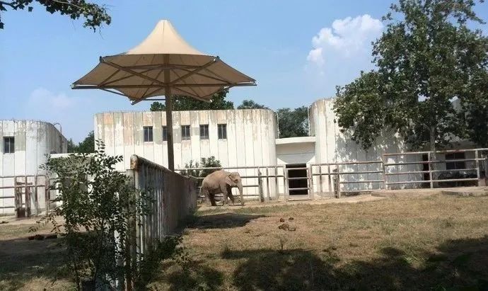 济南动物王国一日游详细攻略,济南一日游动物园