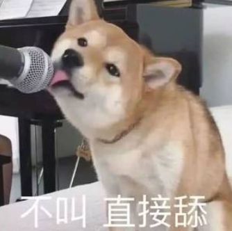 那些很奇葩的歌,盘点这些年奇葩的歌名