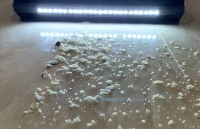 戴森和睿米吸尘器哪个好用,戴森吸尘器必胜