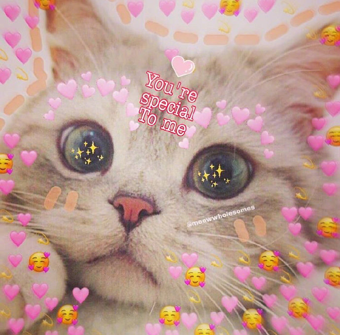 猫咪背景图ins风,猫咪背景图ins高级质感黑猫