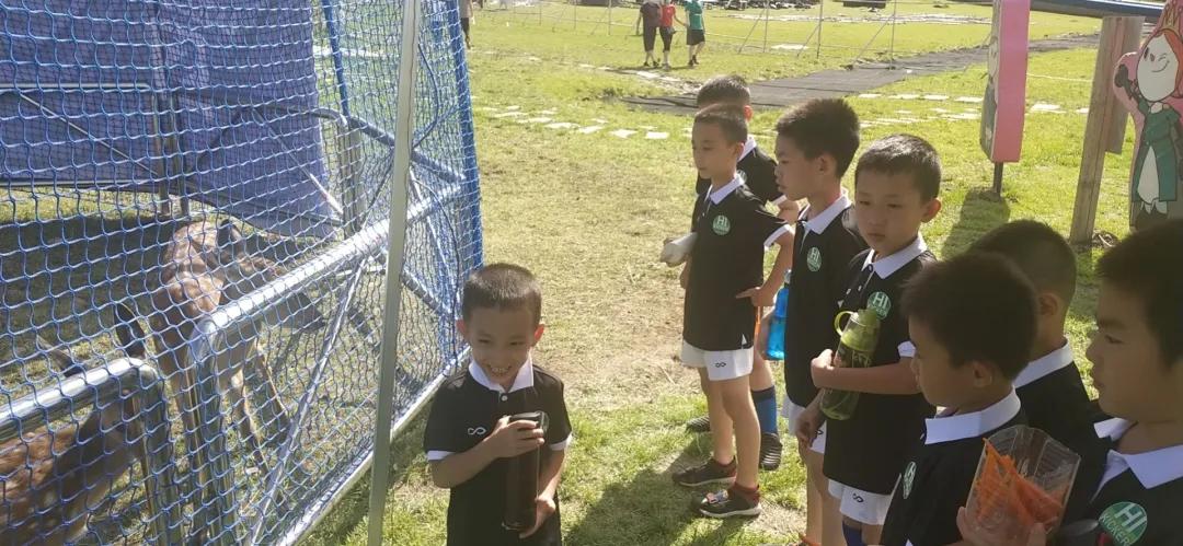 太舞足球比赛,太舞夏令营
