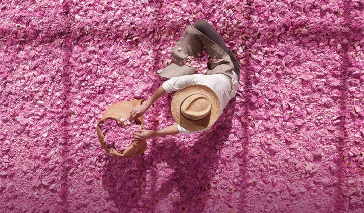 适合女生的玫瑰味香水,玫瑰花香味最好的香水