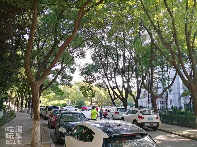 在大厂工作是种什么体验,生活在大厂是种什么样的体验