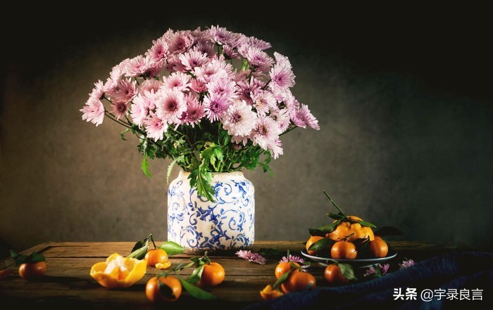 情感语录句句经典的说说,情感语录说说句句刺痛人心