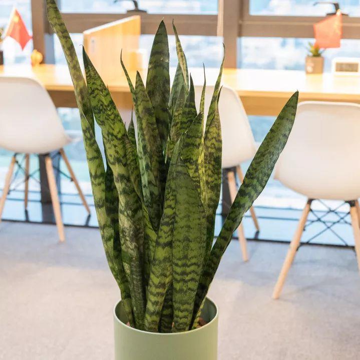 高空自习室深圳,深圳高空自习室