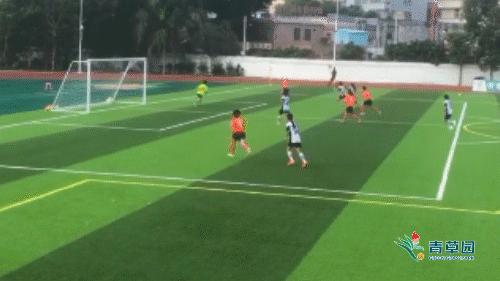 广东省省长杯女子组,广东省省长杯男子甲组赛程