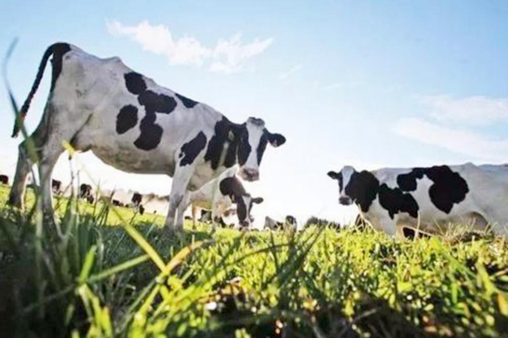 最新15种奶粉质量不合格,2019年央视曝光的假洋奶粉有哪些