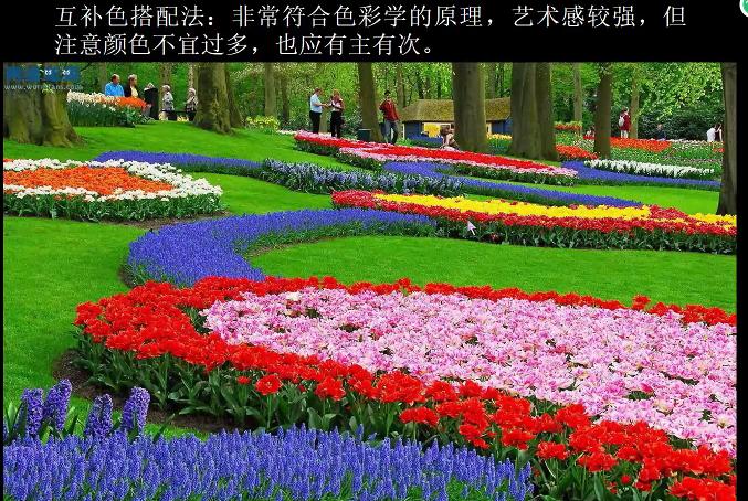 园林花卉学有哪些基础知识,园林花卉学书籍