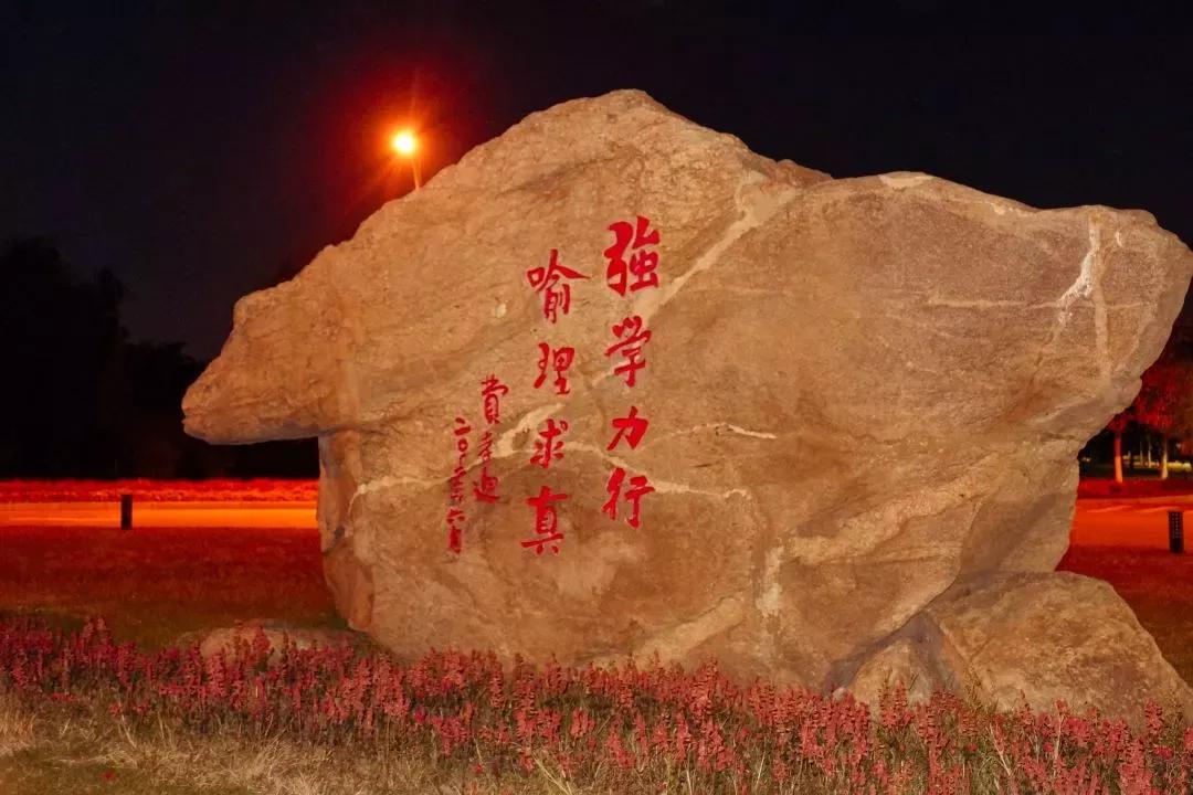 沈阳化工大学辽宁省排名,沈阳化工大学2020招生计划辽宁省