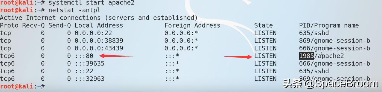 四十二，DNS欺骗和钓鱼网站原理详解及漏洞还原