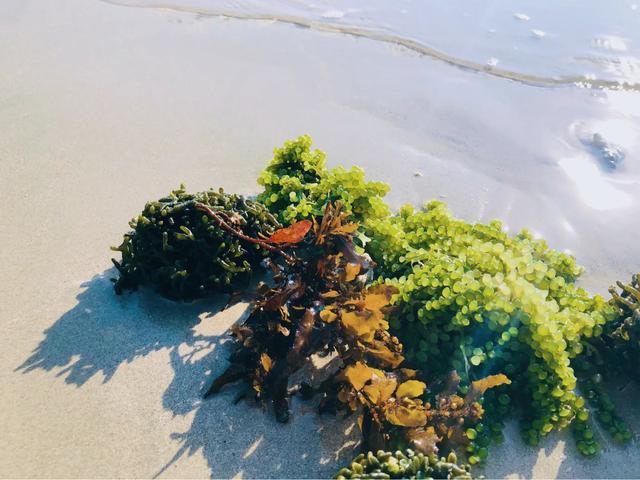 成都北海涠洲岛自由行,成都到涠洲岛攻略