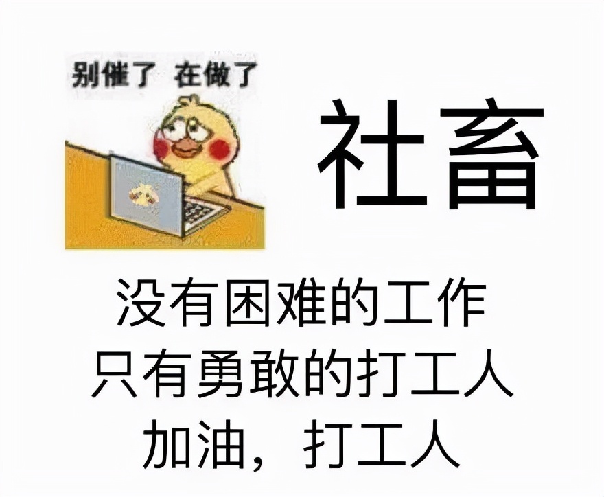 他一出来卖惨,全网追着骂