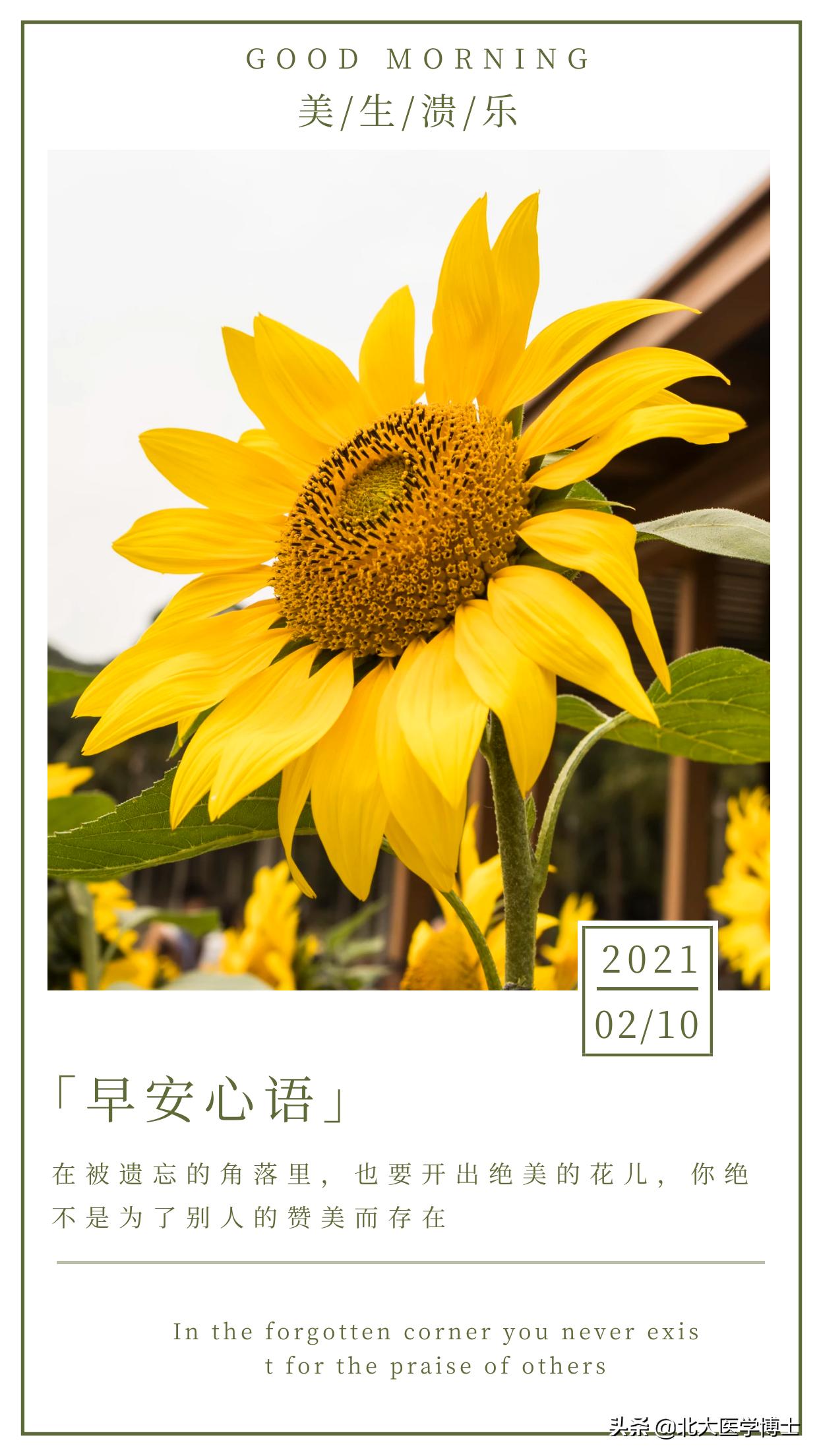 带下病热毒蕴结的治法,带下过多热毒蕴结证的病因病机