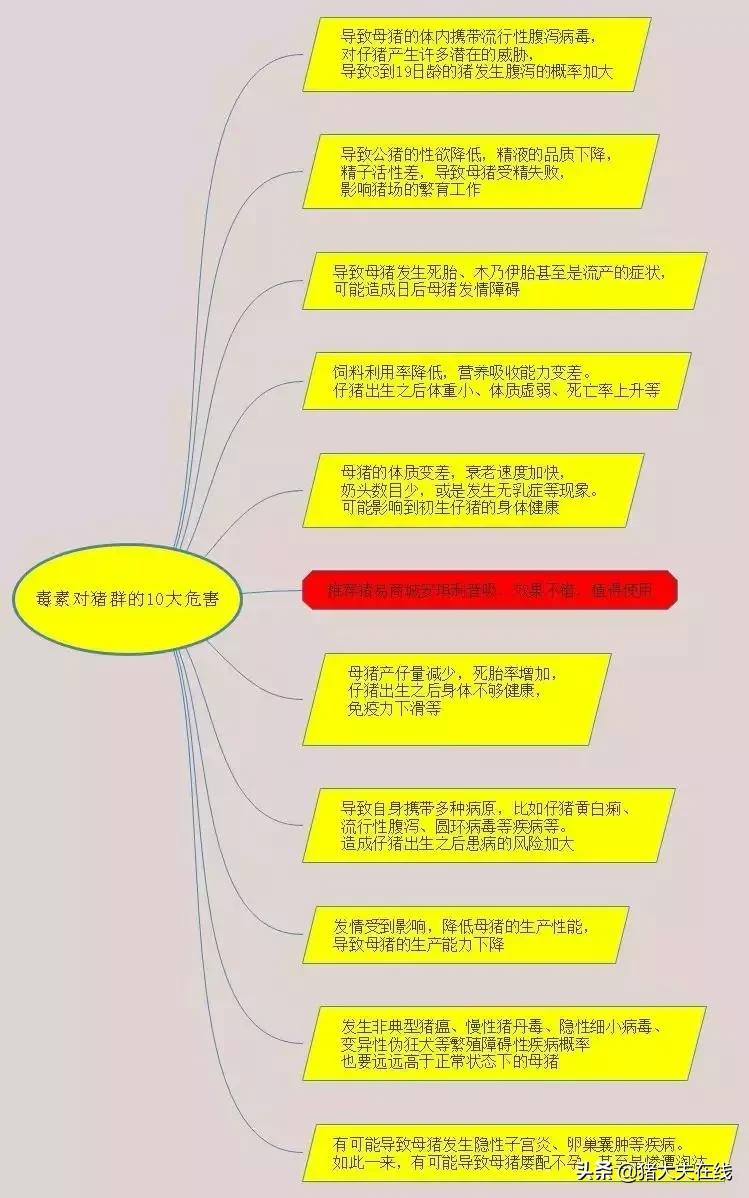 霉菌毒素对猪的危害及防治措施,霉菌毒素对猪的影响视频