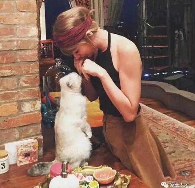 新时代贵族的标配——一块祖传老地毯