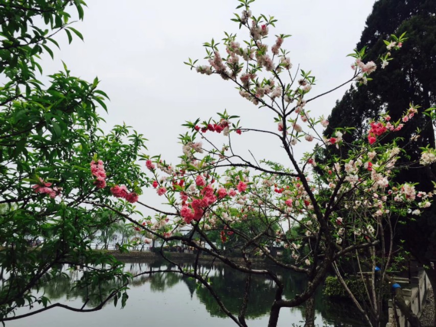 盗汗是淋巴瘤早期症状吗,失眠盗汗是哪种类型淋巴瘤