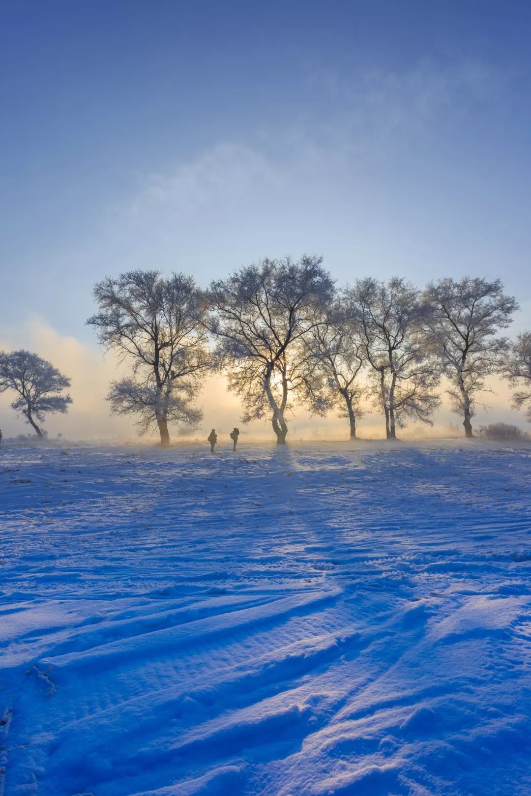 吉林在哪里看雾凇比较好,雾凇哪儿好看