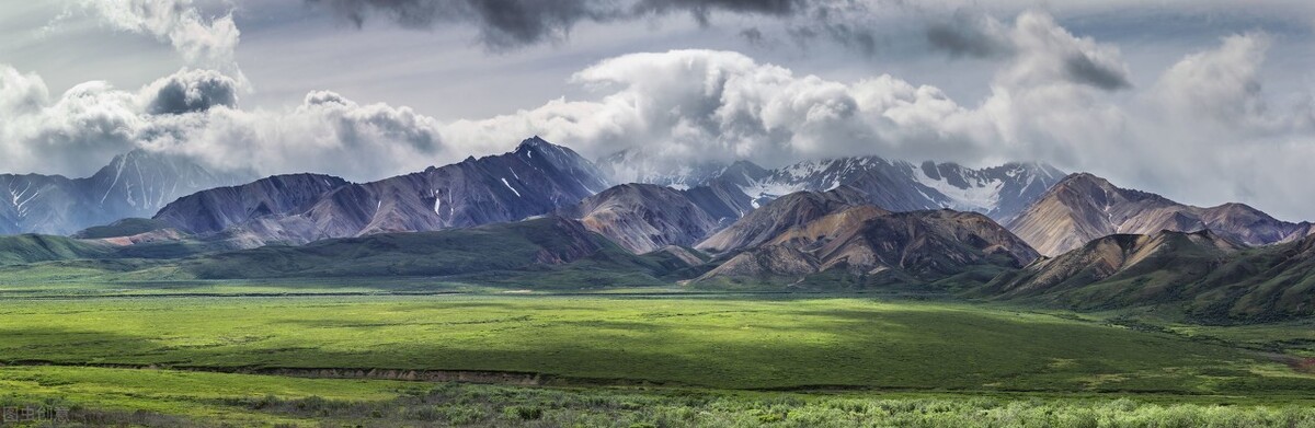 塑料是一项糟糕的发明吗,塑料为什么会被发明