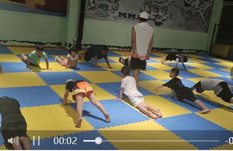 搏击跆拳道散打哪个适合孩子,搏击散打跆拳道学哪个好