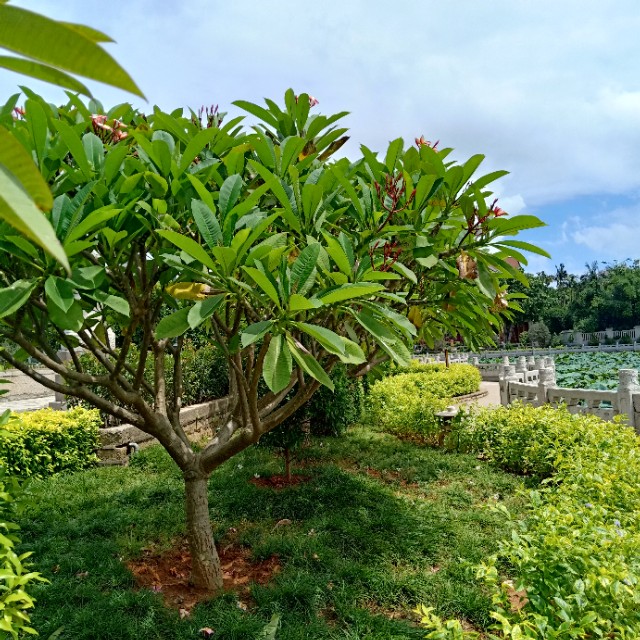 空手套白狼100种创业方法,空手套白狼生意金点子100个