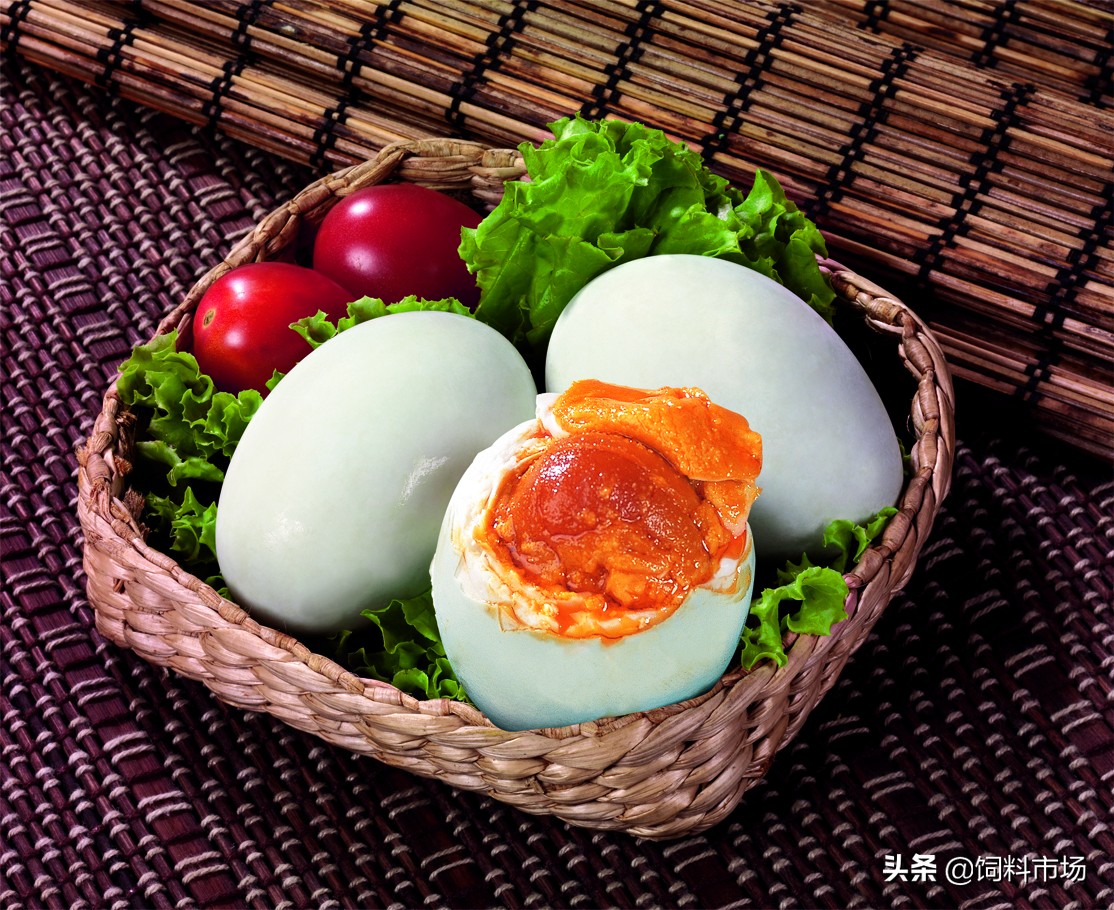 麻鸭肉质紧实鲜嫩美味,细长脖子麻鸭