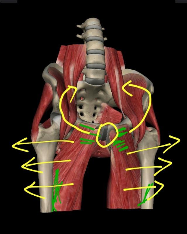 光靠青蛙趴能练出横叉来吗,横叉青蛙趴训练目的