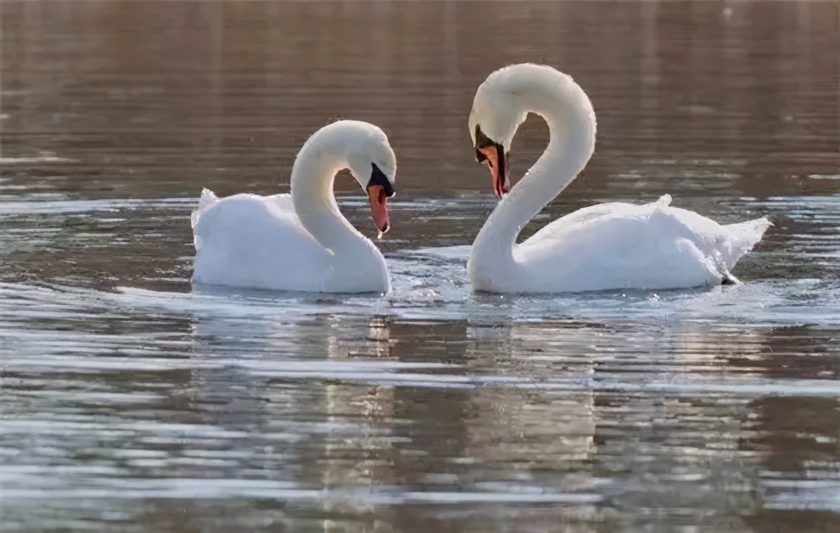 你好，我是“宝藏”城市——赤峰