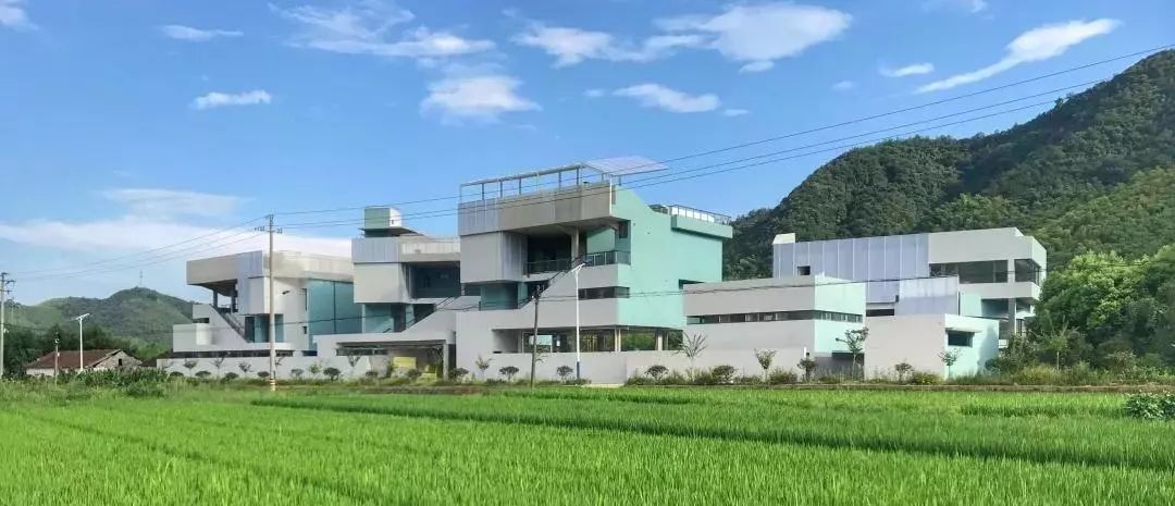 重回校园体验大学生,重回校园操场体验青春活力