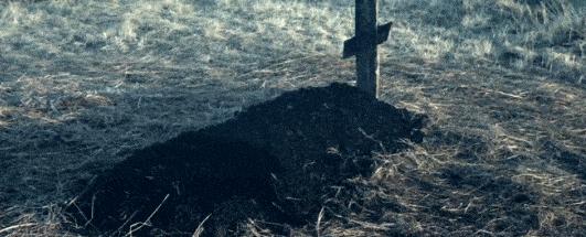 私人飞机制造巨头比奇：从二战时为美军提供军机，到今日被17岁少女偷飞机，究竟有着怎样的魅力？