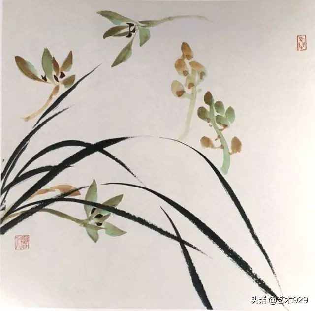 国画兰花画法免费技法教程,国画兰花绘画图