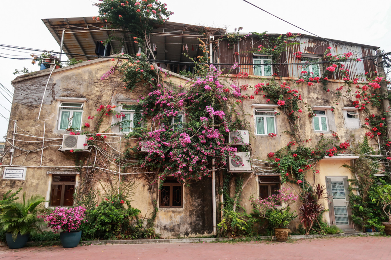 澳门疫情隔离政策,澳门最新入境防控疫情措施