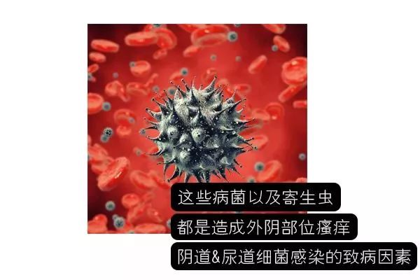 一星期不换裤子,连续一星期不换内裤