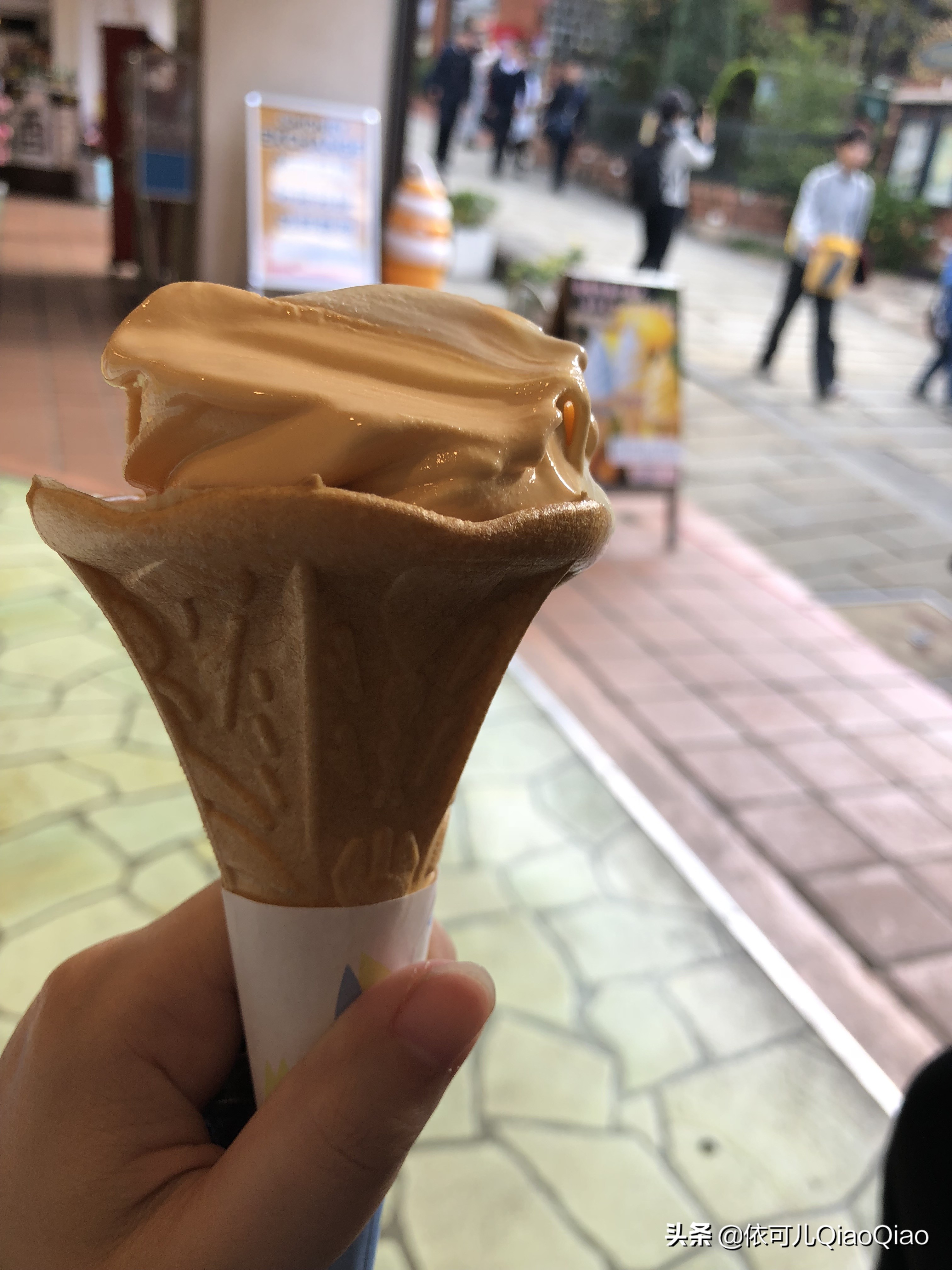 纪念我的第一次旅游,纪念我的第一次旅行