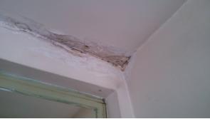 7.2级大地震,0死亡:新西兰的房子质量为什么这么好?